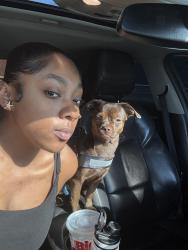 Lost Male Dog last seen Near Black Horse pike Blackwood NJ, Washington Township, NJ 08012
