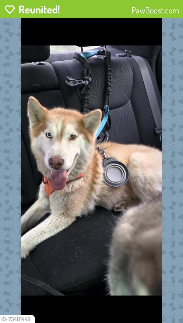 Reunited Male Dog last seen Heritage hse on Mission Rd and Van Leuven, Loma Linda, CA 92354