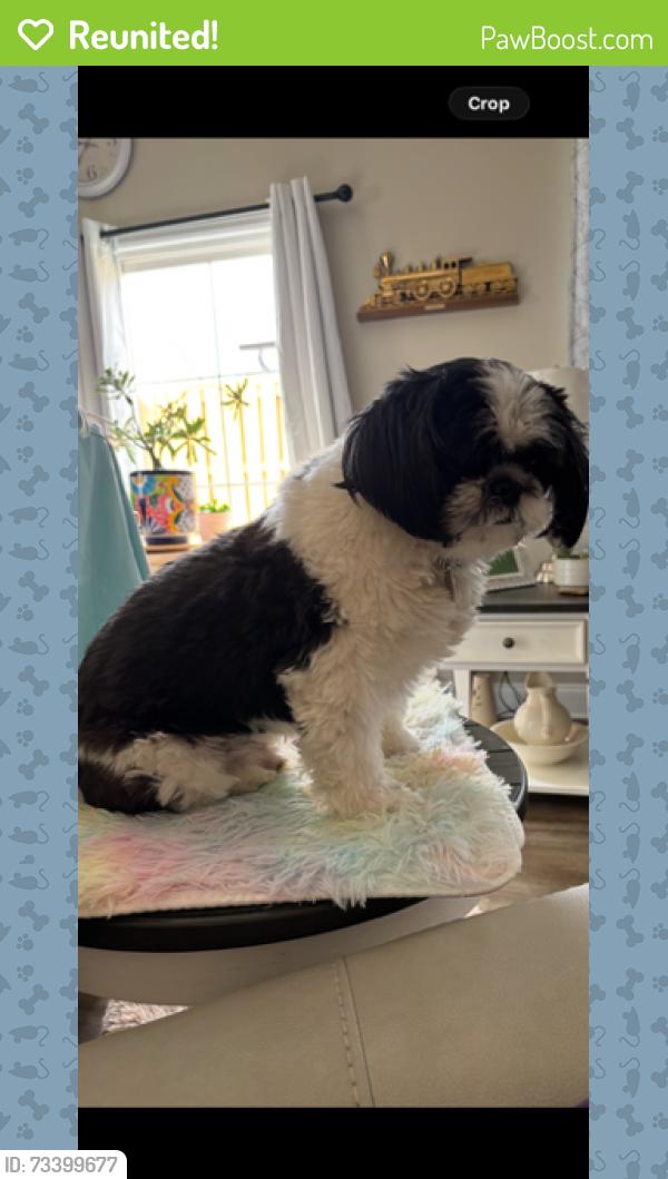 Reunited Male Dog last seen Riverstone liquor store, Cleveland, TN 37312