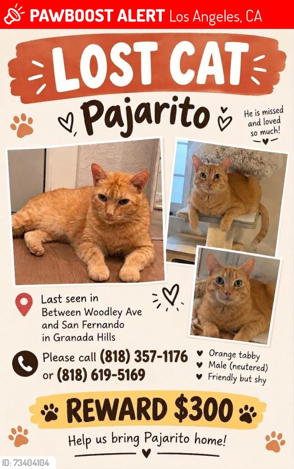 Lost Male Cat last seen Woodley ave and San fernando mission, Los Angeles, CA 91344