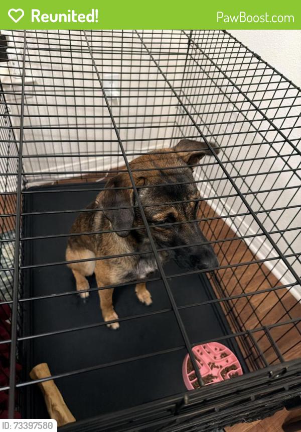 Reunited Male Dog last seen Found on corner of Capistrano & San Rafael, Oceanside, CA 92058