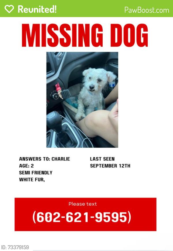Reunited Male Dog last seen Near N 88th Dr, Phoenix, AZ 85037, USA, Phoenix, AZ 85037
