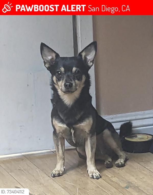 Lost Male Dog last seen Skyline dr 92114 San Diego CA, San Diego, CA 92114