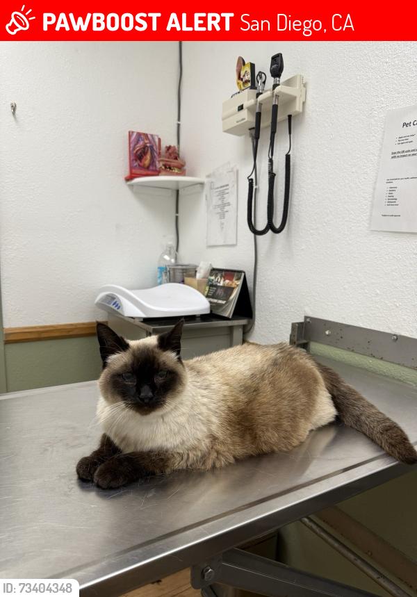 Lost Female Cat last seen 61st Street, Newcastle Ct, San Diego, CA 92114