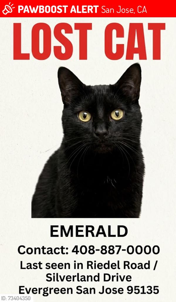 Lost Female Cat last seen Riedel Road - Silverland Drive, Evergreen, San Jose, San Jose, CA 95135
