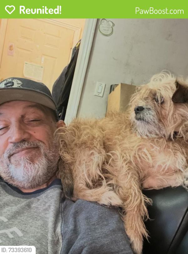 Reunited Female Dog last seen Near Edison Ave, The Bronx, NY 10465