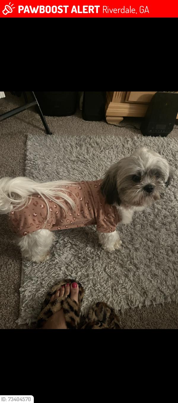 Lost Female Dog last seen Castlegate dr, Riverdale, GA 30296