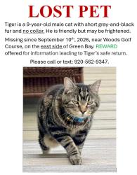 Lost Male Cat last seen Golf dr, Green Bay, WI 54311