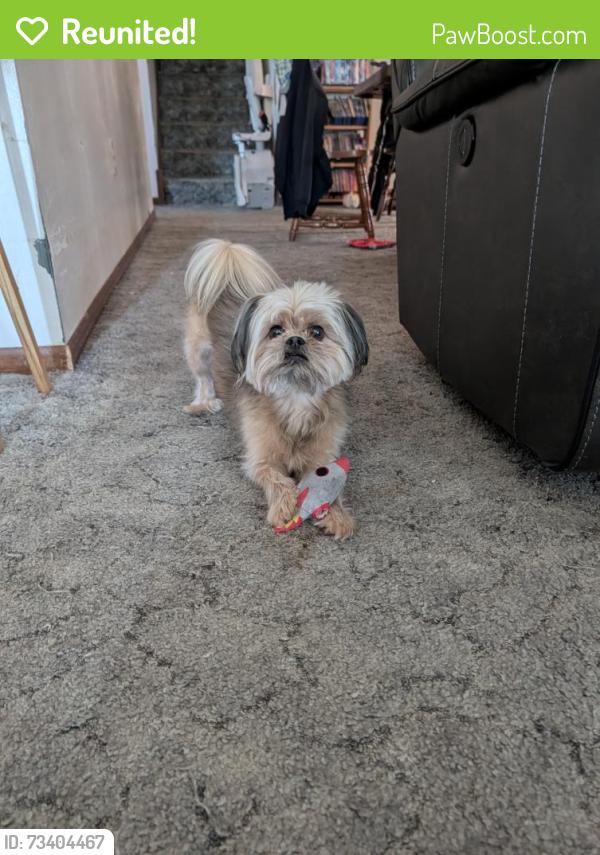 Reunited Male Dog last seen Happy Days Comics, Hammond, IN 46323
