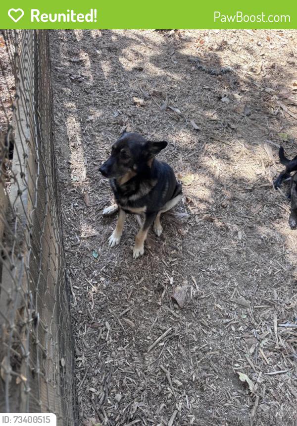 Reunited Male Dog last seen De Luz rd and Carancho, Temecula, CA 92590