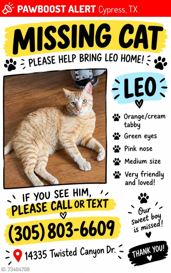 Lost Male Cat last seen Barker cypress and huffmeister, Cypress, TX 77429