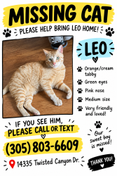 Lost Male Cat last seen Barker cypress and huffmeister, Cypress, TX 77429