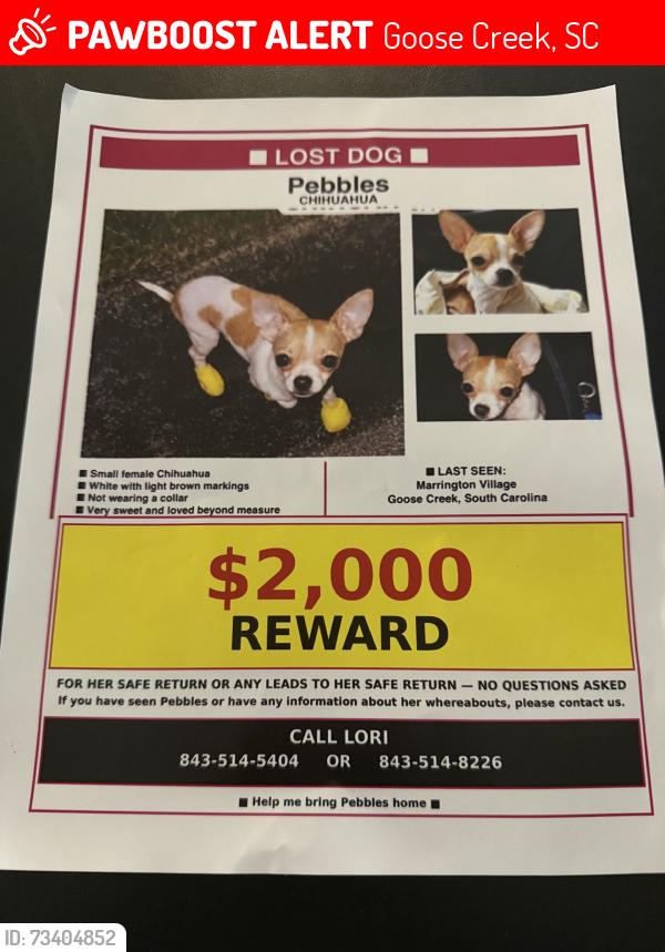 Lost Female Dog last seen Harbor Lake Dr, Goose Creek, SC 29445