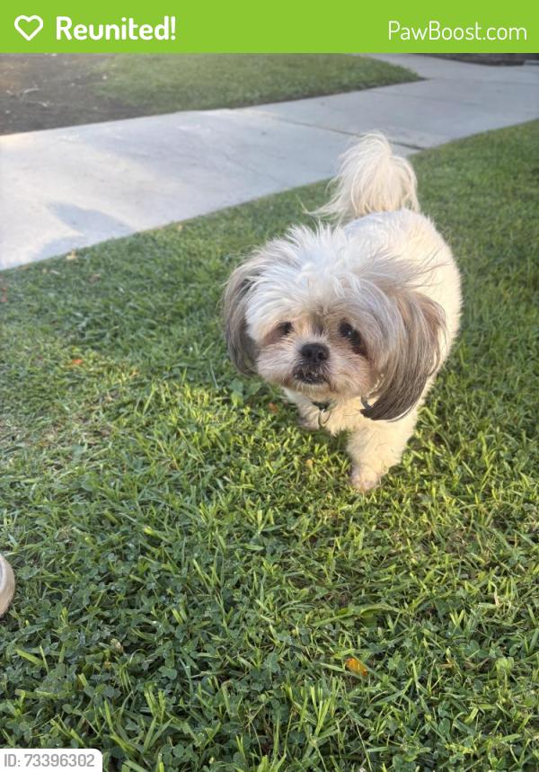 Reunited Unknown Dog last seen Palmdale blvd, Palmdale, CA 93550
