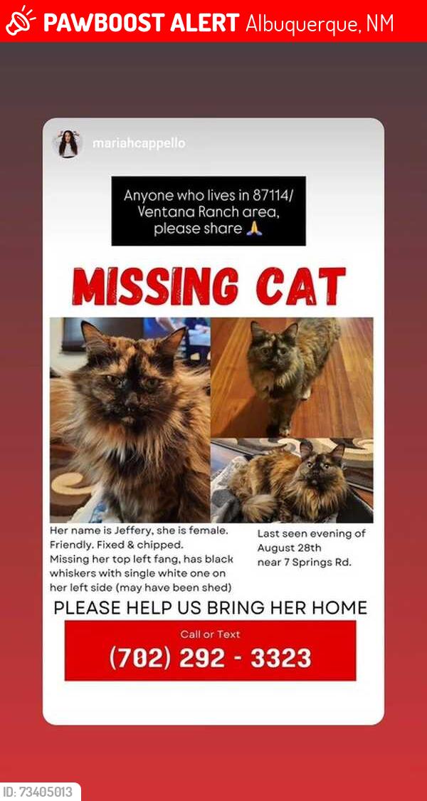 Lost Female Cat last seen Near springs Rd, Albuquerque, NM 87114