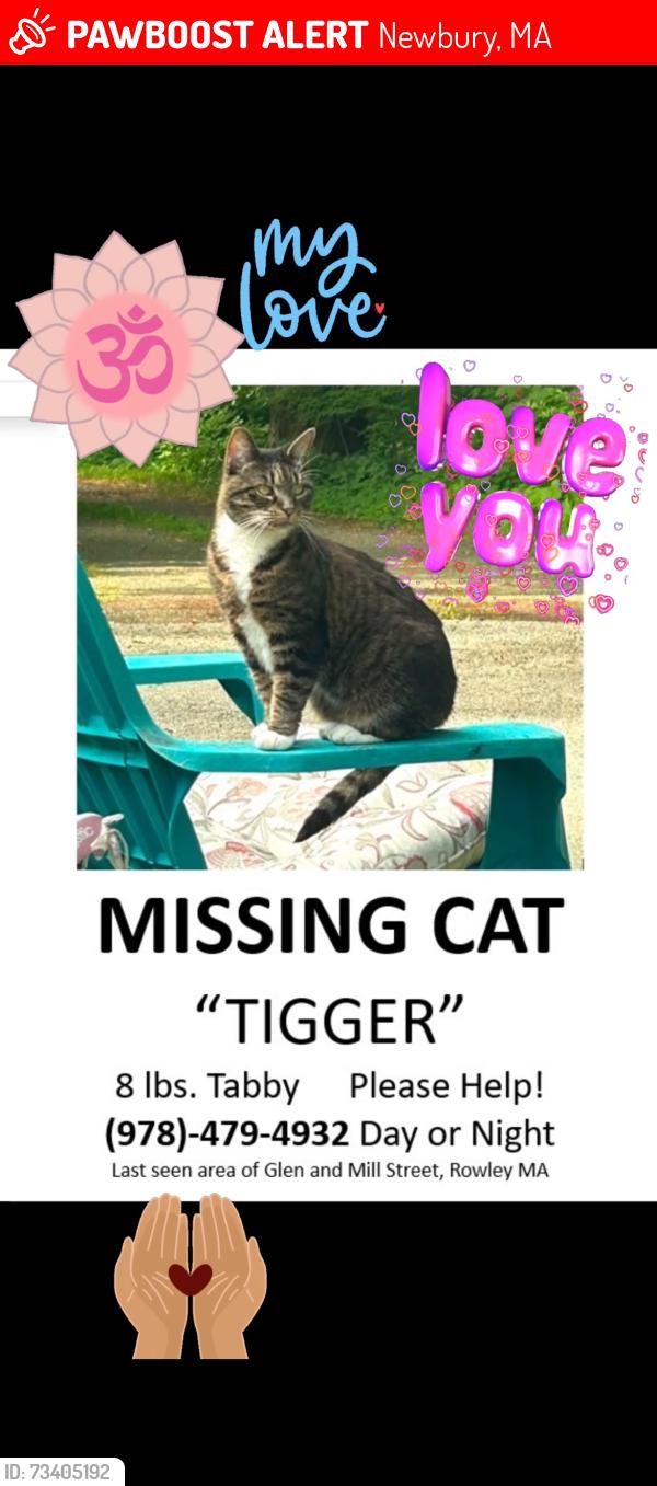 Lost Female Cat last seen Governers ACADEMY Newbury, Newbury, MA 01922