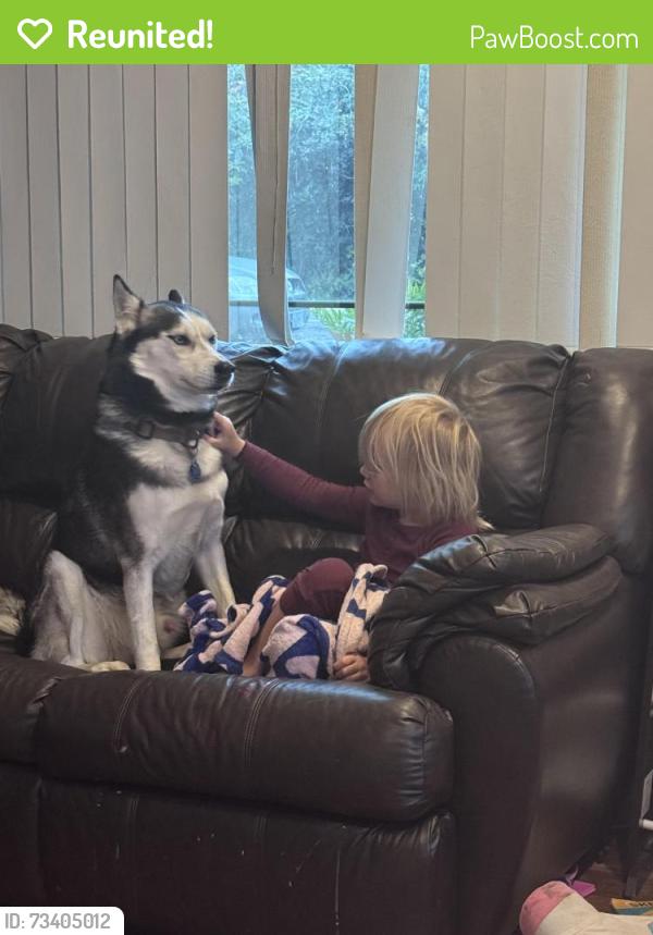 Reunited Male Dog last seen NW 119th st and NW 36th Ave, Vancouver, WA 98685