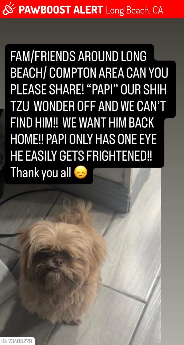 Lost Male Dog last seen Near w Heath st Long Beach, Long Beach, CA 90805