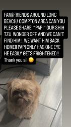 Lost Male Dog last seen Near w Heath st Long Beach, Long Beach, CA 90805