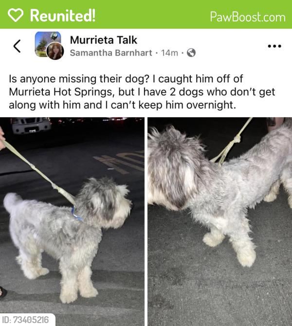 Reunited Unknown Dog last seen Murrieta Hot Springs, Murrieta, CA 92563
