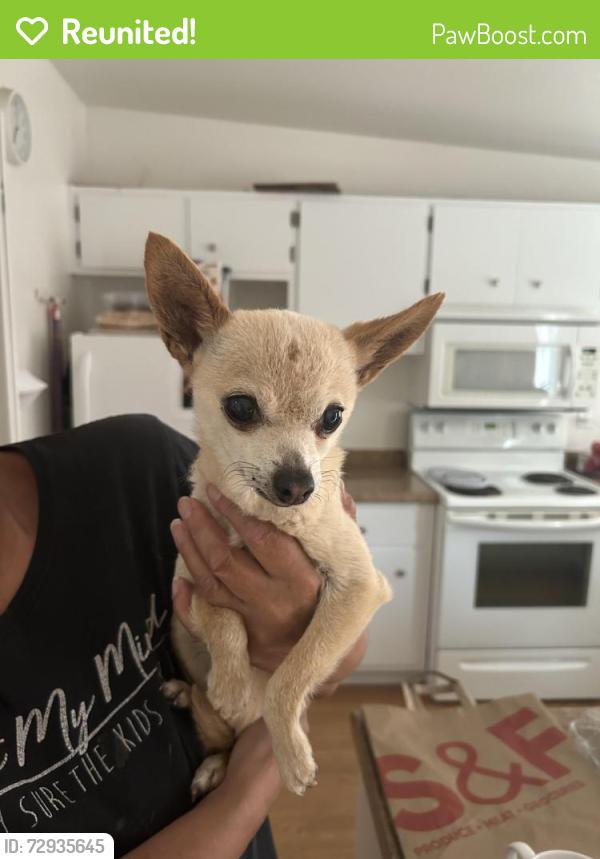 Reunited Female Dog last seen Lorna Ct, Elk Grove, CA 95624