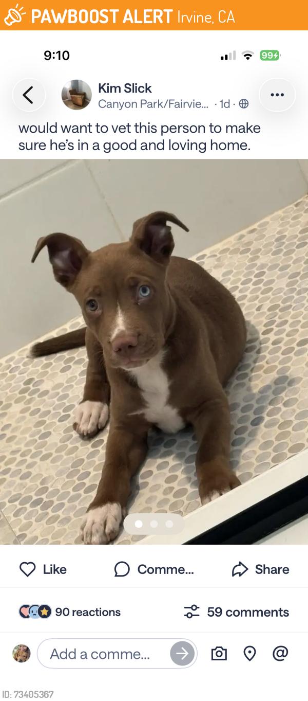 Found/Stray Unknown Dog last seen This dog is being held captive by Kim slick on Nextdoor, Irvine, CA 92603