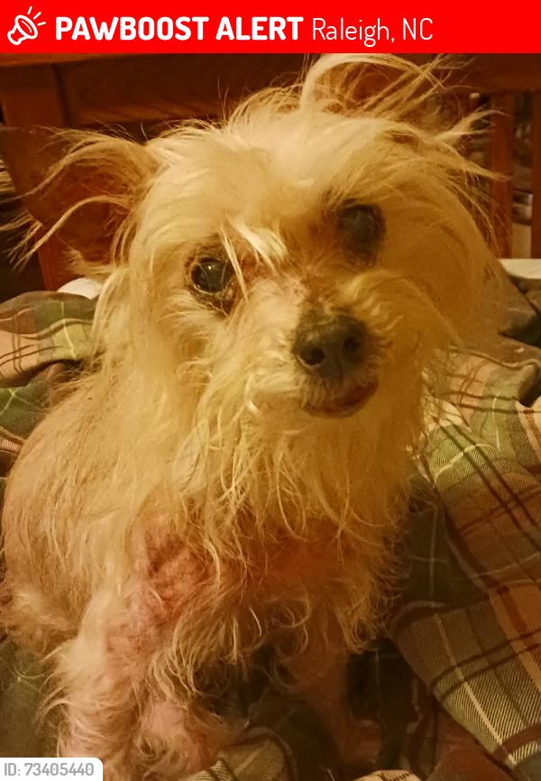Lost Female Dog last seen Near Ravens Point Circle, Raleigh, NC 27614