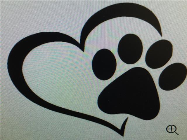 Shelter Stray Male Dog last seen , 11361 W Pico Blvd, Los Angeles, CA 90064, USA