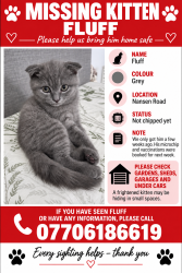Lost Male Cat last seen Nansen Road, Kent, England DA12 5DA