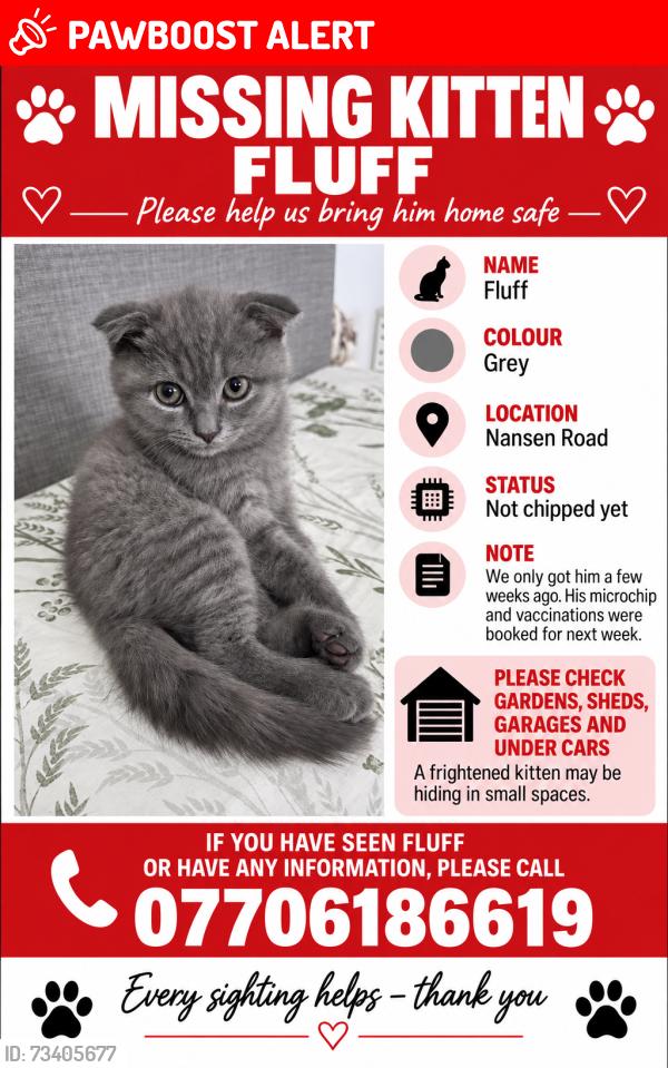 Lost Male Cat last seen Nansen Road, Kent, England DA12 5DA
