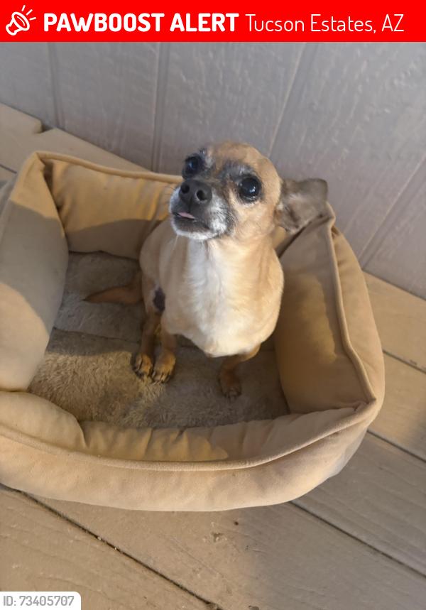 Lost Male Dog last seen Heifner rd on bopp and San Joaquin, Tucson Estates, AZ 85735