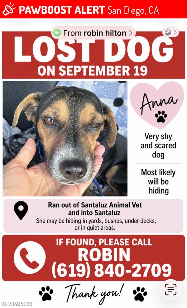 Lost Female Dog last seen La Zanja canyon San Diego. 92127, San Diego, CA 92129