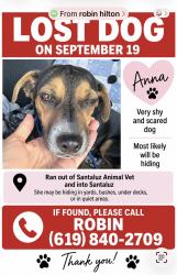 Lost Female Dog last seen La Zanja canyon San Diego. 92127, San Diego, CA 92129