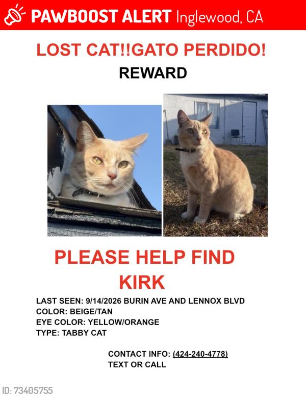 Lost Male Cat last seen Near Burin Ave Lennox Ca, Inglewood, CA 90304