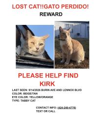 Lost Male Cat last seen Near Burin Ave Lennox Ca, Inglewood, CA 90304