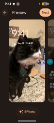 Lost Male Cat last seen Near Springs Rd NE Hickory NC, Hickory, NC 28601