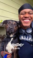 Lost Male Dog last seen Outside home on spike with line, Pleasant Grove, AL 35127