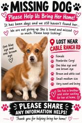 Lost Female Dog last seen Cable ranch rd, San Antonio, TX 78245