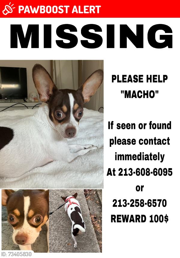 Lost Male Dog last seen Stuebner Airline Rd. Spring TX., Memorial Northwest, TX 77379