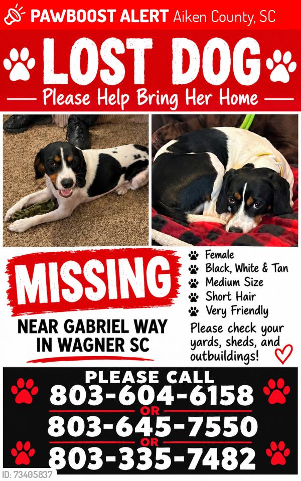 Lost Female Dog last seen Seivern rd wagoner sc, Aiken County, SC 29164