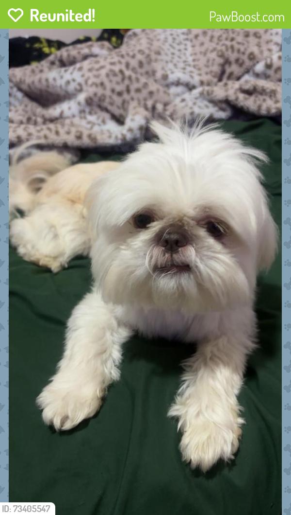 Reunited Male Dog last seen Camellia Dr, N Oak ext., Valdosta, GA 31605