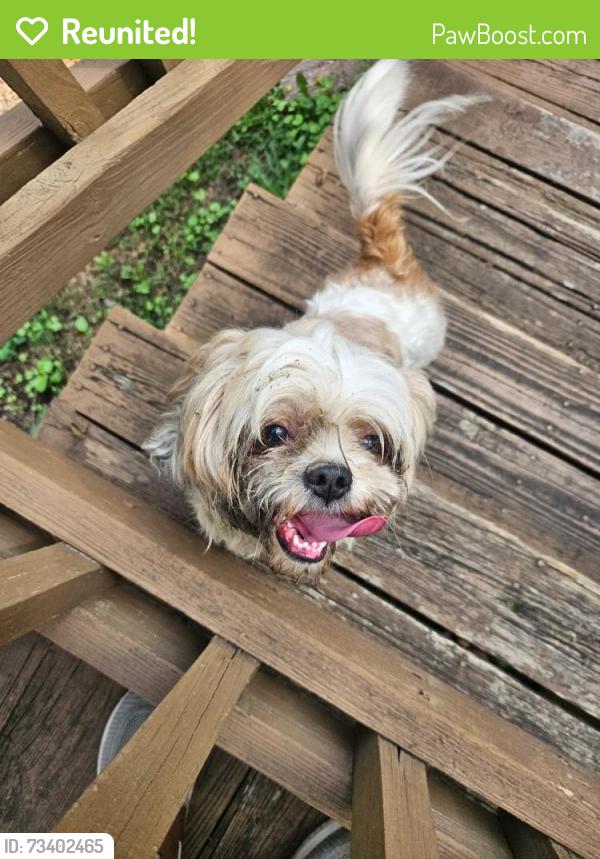 Reunited Unknown Dog last seen Duncroft neighborhood, Glen Allen, VA 23060