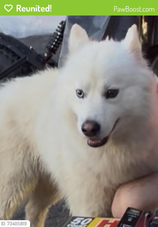 Reunited Male Dog last seen Howard St, Allentown, PA 18101