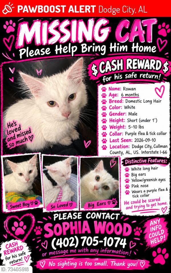 Lost Male Cat last seen Dodge city I-65 interstate, Dodge City, AL 35077