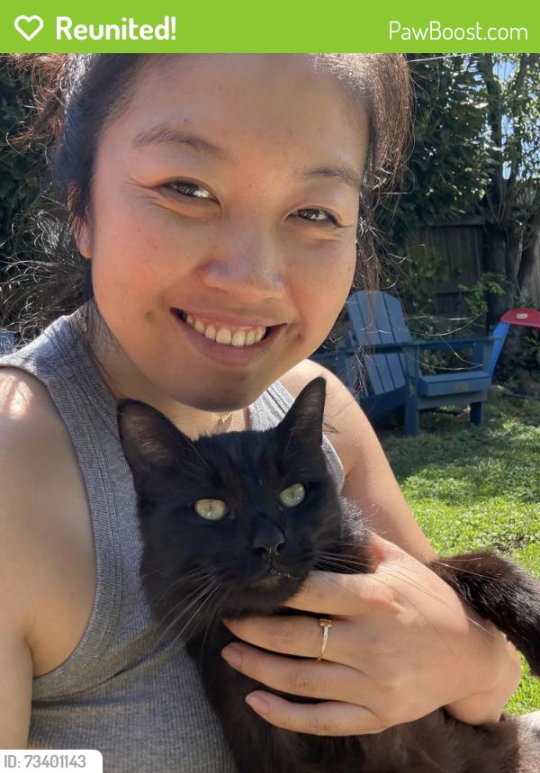 Reunited Male Cat last seen Near Morpeth St. air tag shows around 6389 Dana street Area, Oakland, CA 94618