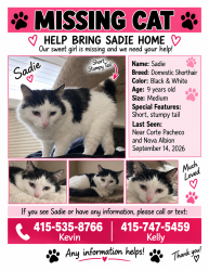 Lost Female Cat last seen Nova Albion, San Rafael, CA 94957