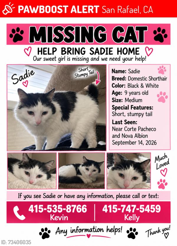 Lost Female Cat last seen Nova Albion, San Rafael, CA 94957