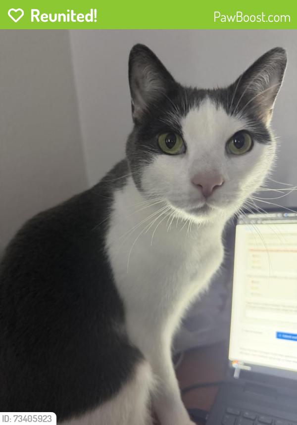 Reunited Male Cat last seen Alafaya by Colonial Dr, Orlando, FL 32826