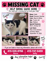 Lost Female Cat last seen Nova albion, San Rafael, CA 94903