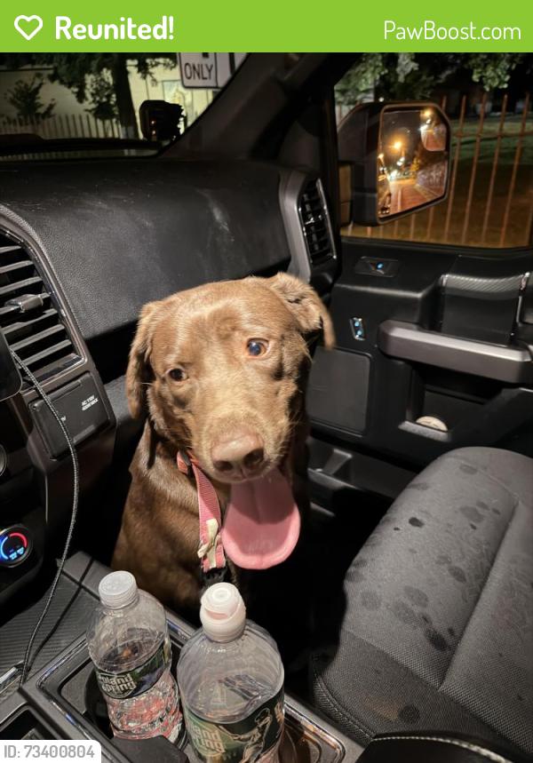 Reunited Unknown Dog last seen Dunkin on union ave, Paterson, NJ 07502